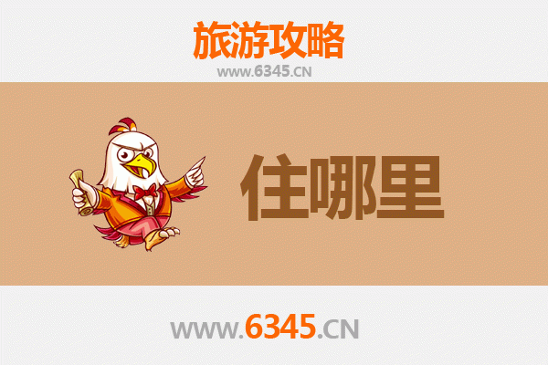 安溪旅游住宿全攻略：茶香深处的静谧居所